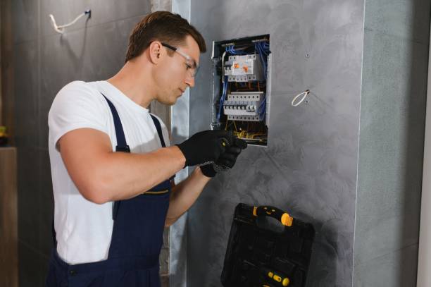 Best Electrical Troubleshooting Services  in Washoe Valley, NV
