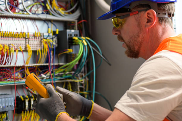 Best Home Electrical Repair  in Washoe Valley, NV